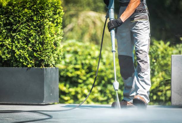 Best Vinyl Siding Pressure Washing in Lino Lakes, MN