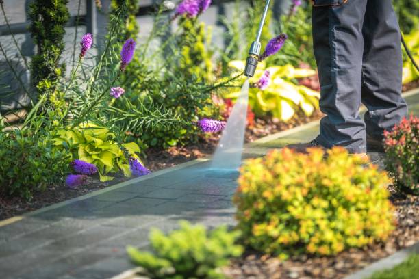 Best Oil and Grease Removal from Surfaces in Lino Lakes, MN