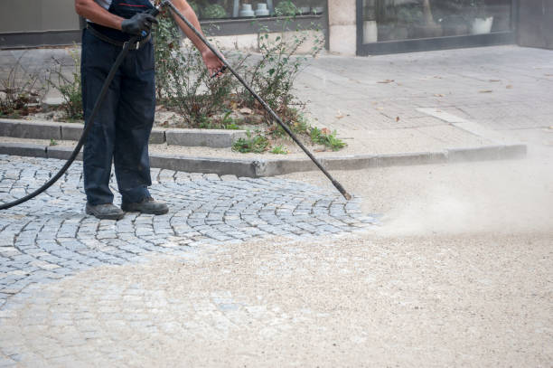 Best Soft Washing for Delicate Surfaces in Lino Lakes, MN