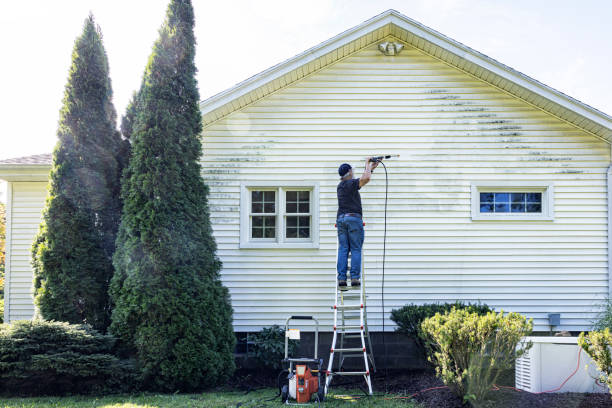 Best Roof Cleaning and Mildew Removal in Lino Lakes, MN